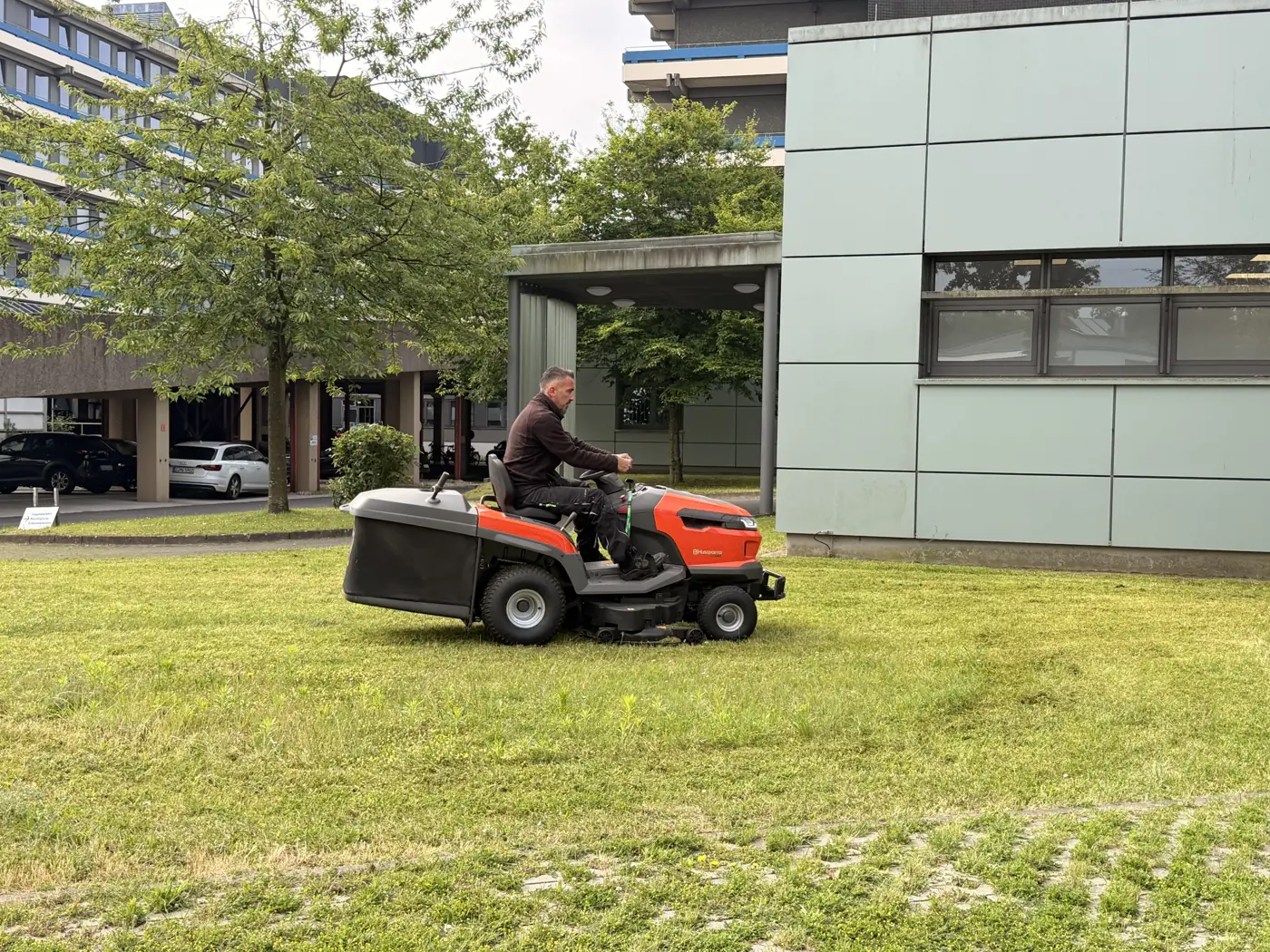 Rasenpflege mit einem Aufsitzmäher an einer Grünanlage